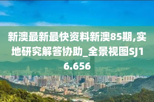 新澳最新最快资料新澳85期,实地研究解答协助_全景视图SJ16.656