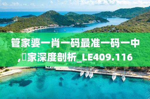 管家婆一肖一码最准一码一中,專家深度剖析_LE409.116