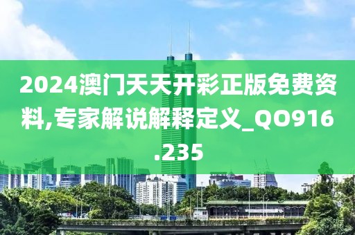 2024澳门天天开彩正版免费资料,专家解说解释定义_QO916.235