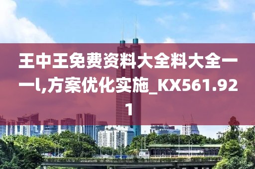 王中王免费资料大全料大全一一l,方案优化实施_KX561.921
