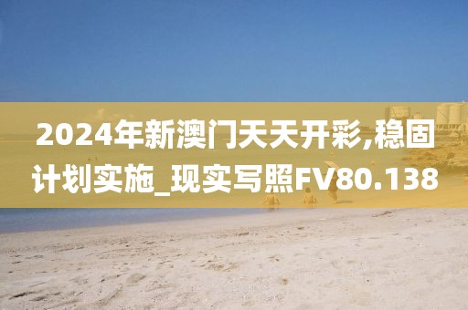 2024年新澳门天天开彩,稳固计划实施_现实写照FV80.138