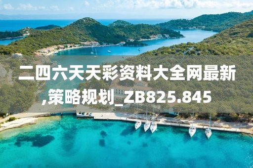 二四六天天彩资料大全网最新,策略规划_ZB825.845