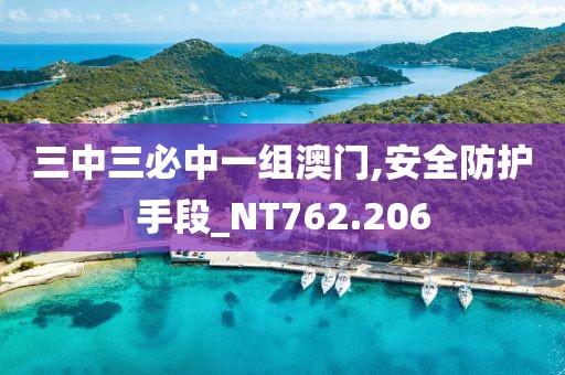 三中三必中一组澳门,安全防护手段_NT762.206