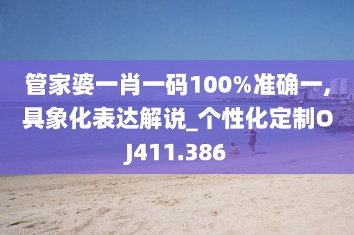 管家婆一肖一码100%准确一,具象化表达解说_个性化定制OJ411.386