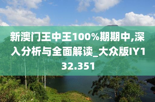 新澳门王中王100%期期中,深入分析与全面解读_大众版IY132.351