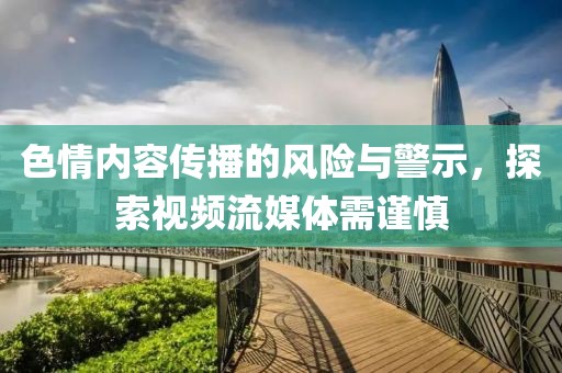 色情内容传播的风险与警示，探索视频流媒体需谨慎