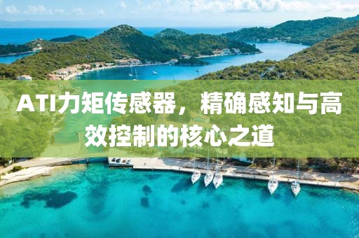 鲸有痕 第52页