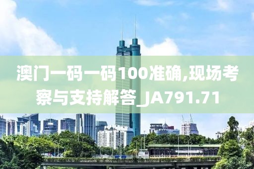 澳门一码一码100准确,现场考察与支持解答_JA791.71