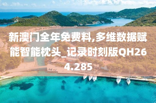 新澳门全年免费料,多维数据赋能智能枕头_记录时刻版QH264.285