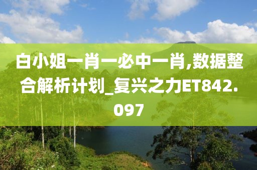 白小姐一肖一必中一肖,数据整合解析计划_复兴之力ET842.097