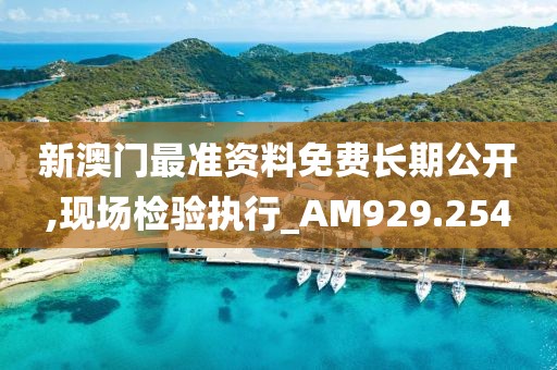 新澳门最准资料免费长期公开,现场检验执行_AM929.254