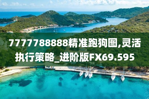 7777788888精准跑狗图,灵活执行策略_进阶版FX69.595
