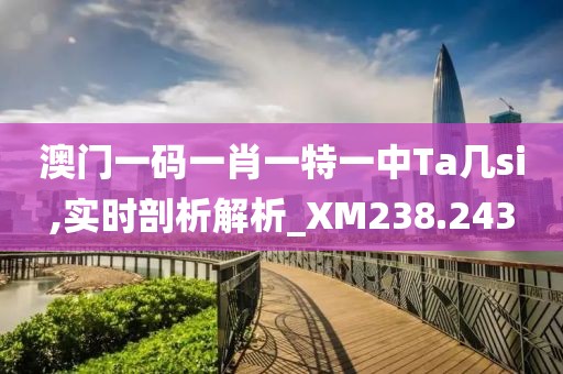澳门一码一肖一特一中Ta几si,实时剖析解析_XM238.243
