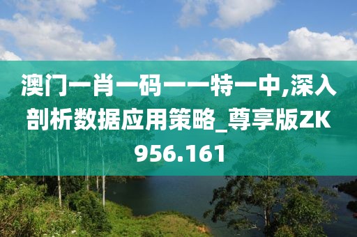 澳门一肖一码一一特一中,深入剖析数据应用策略_尊享版ZK956.161