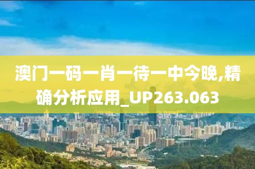 澳门一码一肖一待一中今晚,精确分析应用_UP263.063