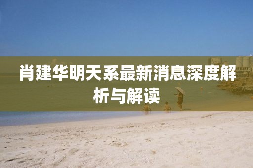 肖建华明天系最新消息深度解析与解读