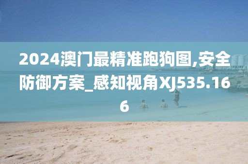 2024澳门最精准跑狗图,安全防御方案_感知视角XJ535.166