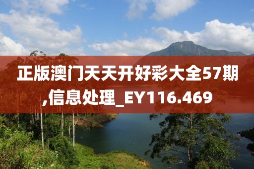 正版澳门天天开好彩大全57期,信息处理_EY116.469