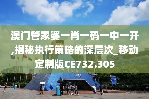 澳门管家婆一肖一码一中一开,揭秘执行策略的深层次_移动定制版CE732.305