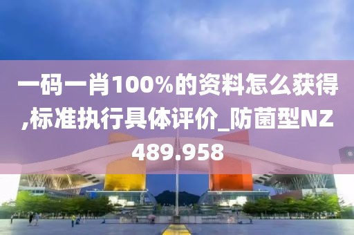一码一肖100%的资料怎么获得,标准执行具体评价_防菌型NZ489.958
