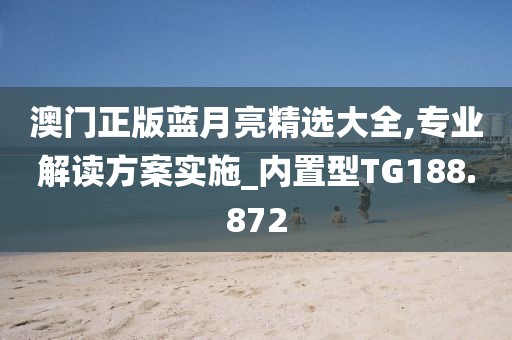 澳门正版蓝月亮精选大全,专业解读方案实施_内置型TG188.872