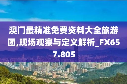 澳门最精准免费资料大全旅游团,现场观察与定义解析_FX657.805