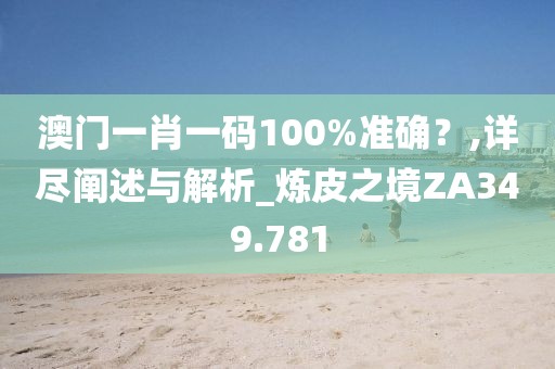 澳门一肖一码100%准确？,详尽阐述与解析_炼皮之境ZA349.781