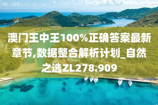 澳门王中王100%正确答案最新章节,数据整合解析计划_自然之选ZL278.909