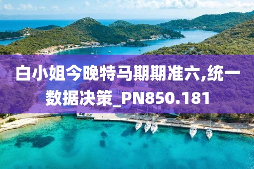 白小姐今晚特马期期准六,统一数据决策_PN850.181