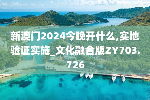 新澳门2024今晚开什么,实地验证实施_文化融合版ZY703.726