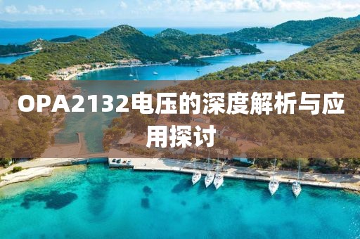 OPA2132电压的深度解析与应用探讨