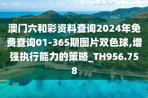 澳门六和彩资料查询2024年免费查询01-365期图片双色球,增强执行能力的策略_TH956.758