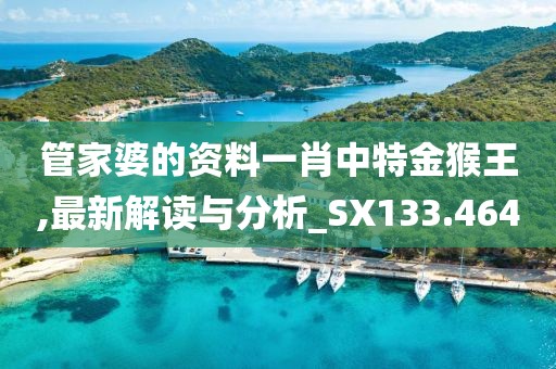 管家婆的资料一肖中特金猴王,最新解读与分析_SX133.464
