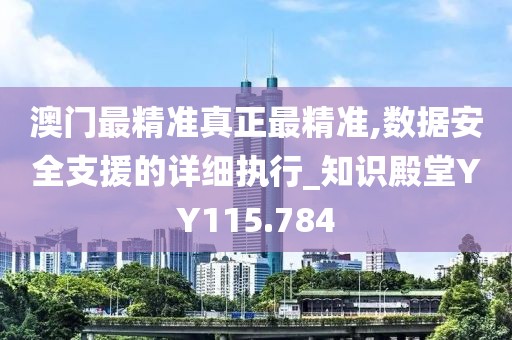 澳门最精准真正最精准,数据安全支援的详细执行_知识殿堂YY115.784