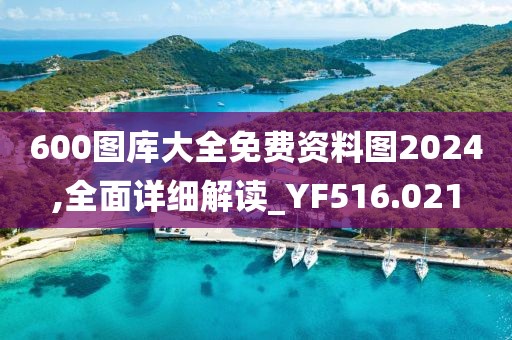 600图库大全免费资料图2024,全面详细解读_YF516.021