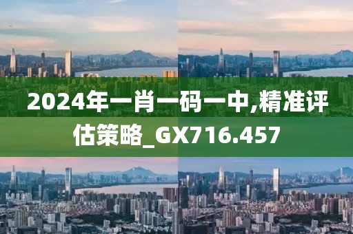 2024年一肖一码一中,精准评估策略_GX716.457