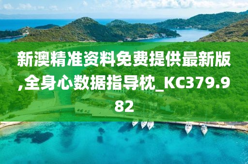 新澳精准资料免费提供最新版,全身心数据指导枕_KC379.982