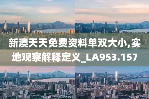 新澳天天免费资料单双大小,实地观察解释定义_LA953.157