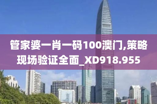 管家婆一肖一码100澳门,策略现场验证全面_XD918.955