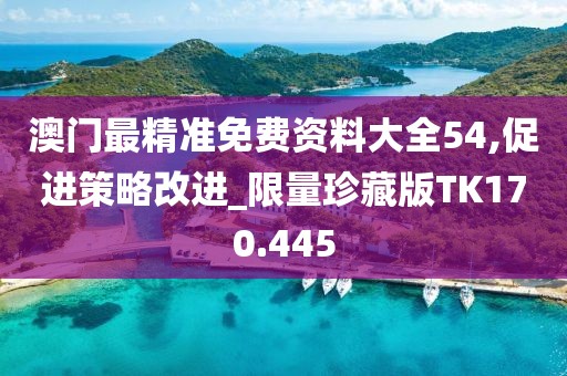澳门最精准免费资料大全54,促进策略改进_限量珍藏版TK170.445