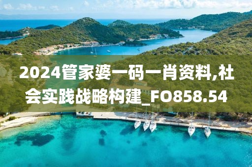2024管家婆一码一肖资料,社会实践战略构建_FO858.54