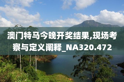 澳门特马今晚开奖结果,现场考察与定义阐释_NA320.472