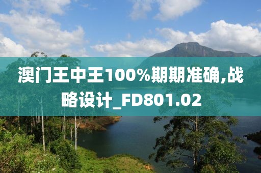 澳门王中王100%期期准确,战略设计_FD801.02