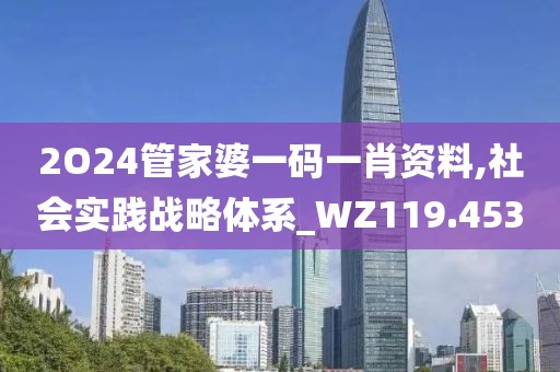 2O24管家婆一码一肖资料,社会实践战略体系_WZ119.453