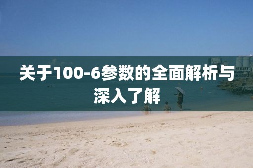 关于100-6参数的全面解析与深入了解
