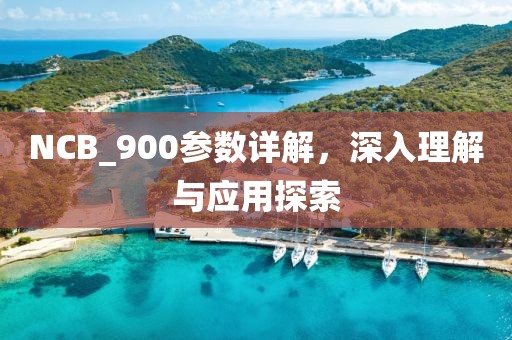 NCB_900参数详解，深入理解与应用探索