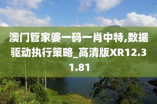 澳门管家婆一码一肖中特,数据驱动执行策略_高清版XR12.31.81