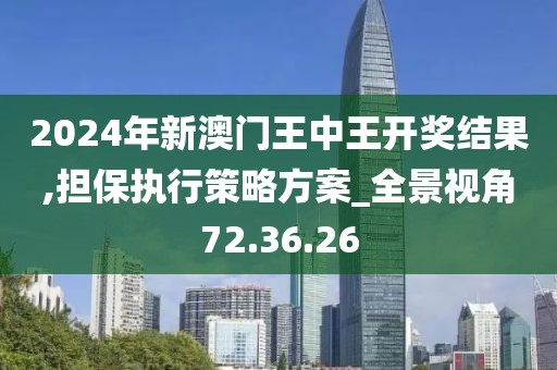 2024年新澳门王中王开奖结果,担保执行策略方案_全景视角72.36.26