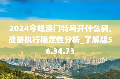 2024今晚澳门特马开什么码,战略执行稳定性分析_了解版56.34.73