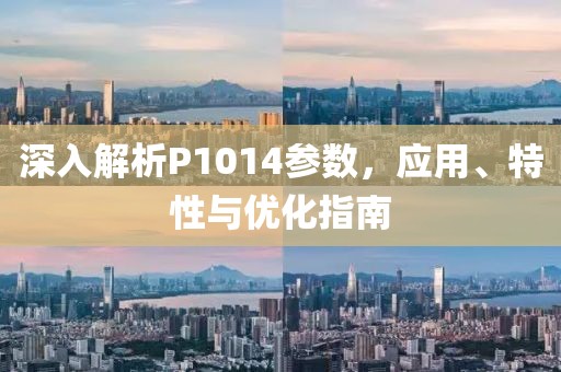 深入解析P1014参数，应用、特性与优化指南